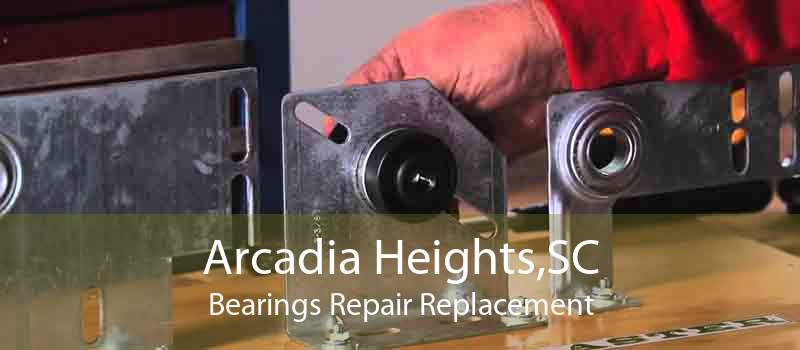 Arcadia Heights,SC Bearings Repair Replacement