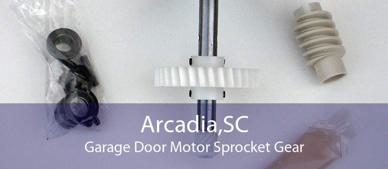 Arcadia,SC Garage Door Motor Sprocket Gear