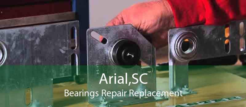 Arial,SC Bearings Repair Replacement