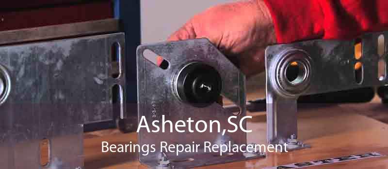 Asheton,SC Bearings Repair Replacement