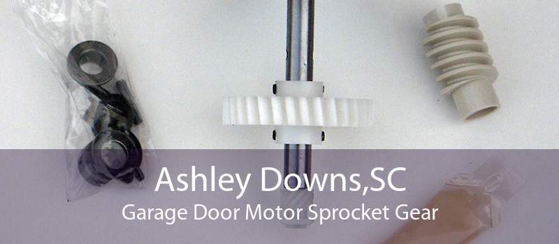 Ashley Downs,SC Garage Door Motor Sprocket Gear