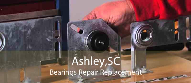 Ashley,SC Bearings Repair Replacement