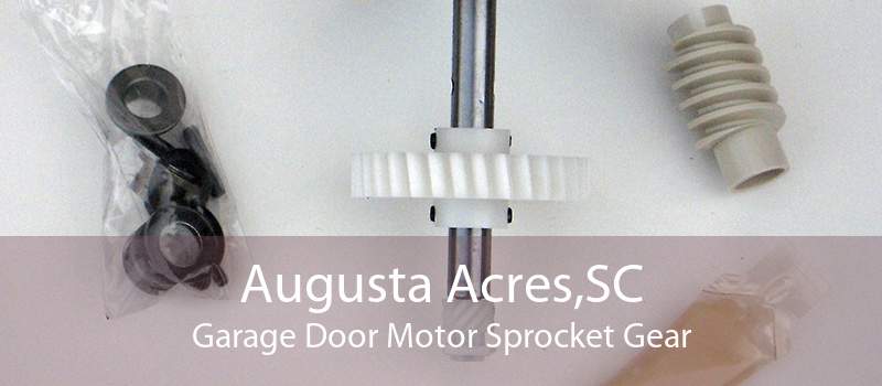Augusta Acres,SC Garage Door Motor Sprocket Gear