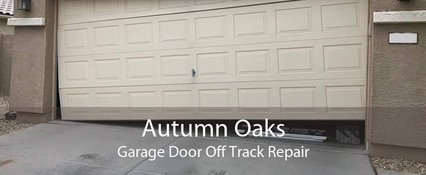 Autumn Oaks Garage Door Off Track Repair