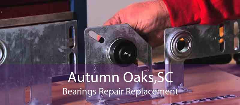 Autumn Oaks,SC Bearings Repair Replacement