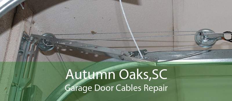 Autumn Oaks,SC Garage Door Cables Repair
