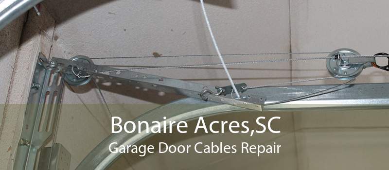 Bonaire Acres,SC Garage Door Cables Repair