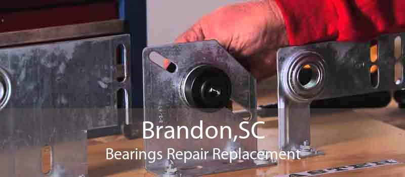 Brandon,SC Bearings Repair Replacement