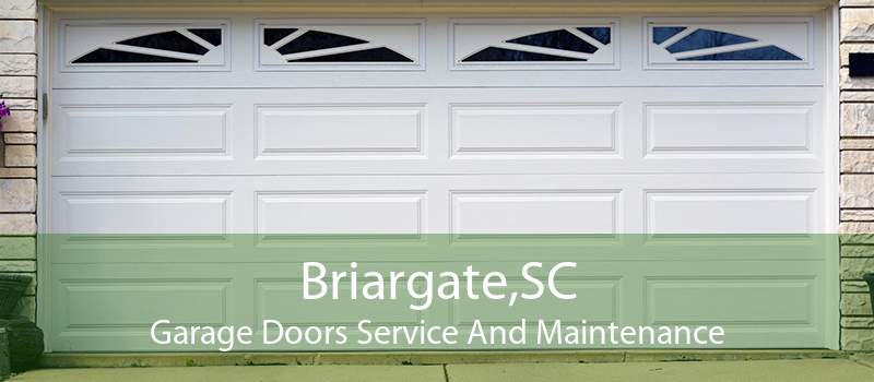 Briargate,SC Garage Doors Service And Maintenance