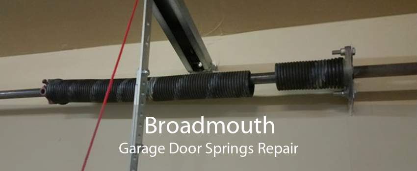 Broadmouth Garage Door Springs Repair