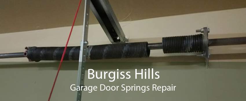 Burgiss Hills Garage Door Springs Repair