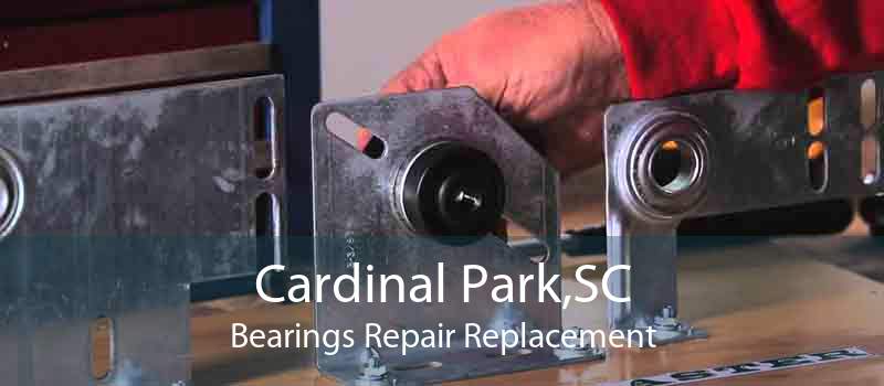 Cardinal Park,SC Bearings Repair Replacement