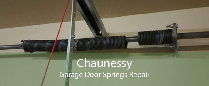 Chaunessy Garage Door Springs Repair