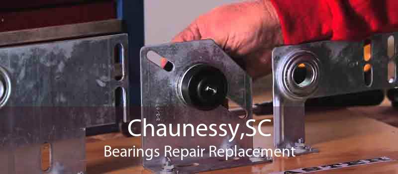 Chaunessy,SC Bearings Repair Replacement