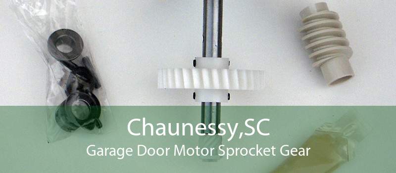 Chaunessy,SC Garage Door Motor Sprocket Gear