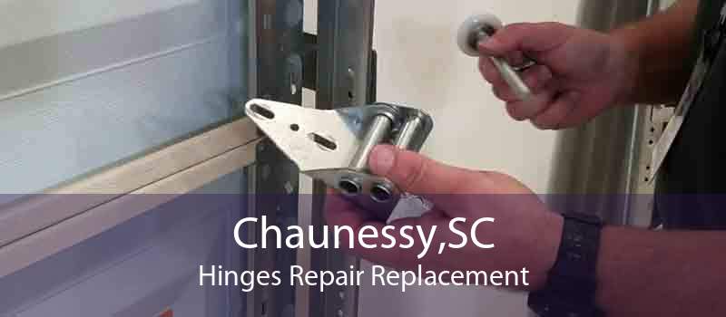 Chaunessy,SC Hinges Repair Replacement