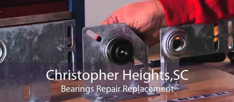 Christopher Heights,SC Bearings Repair Replacement