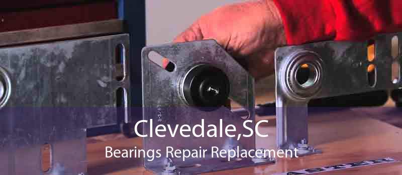 Clevedale,SC Bearings Repair Replacement