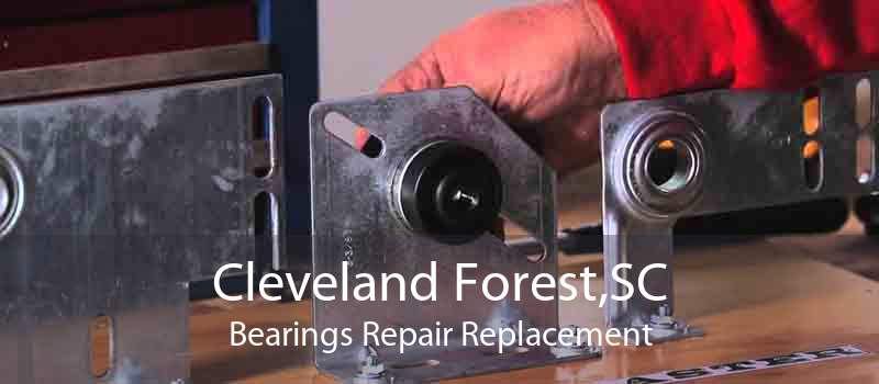 Cleveland Forest,SC Bearings Repair Replacement