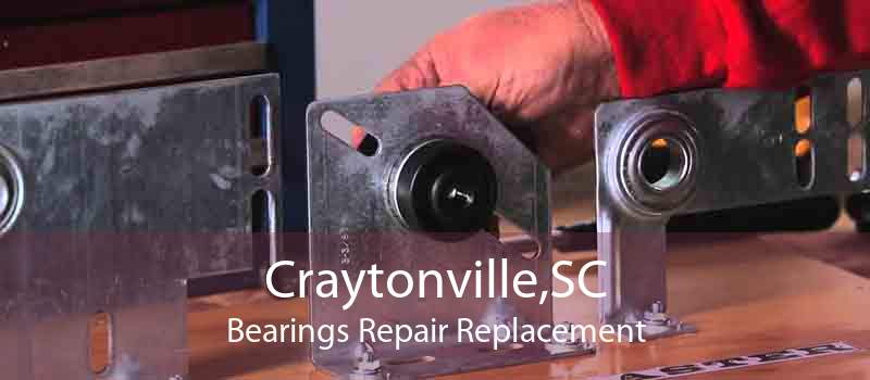 Craytonville,SC Bearings Repair Replacement