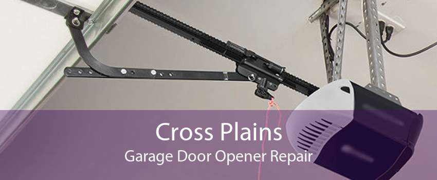 Cross Plains Garage Door Opener Repair