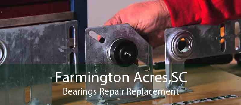 Farmington Acres,SC Bearings Repair Replacement