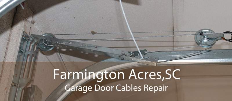 Farmington Acres,SC Garage Door Cables Repair