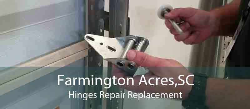 Farmington Acres,SC Hinges Repair Replacement