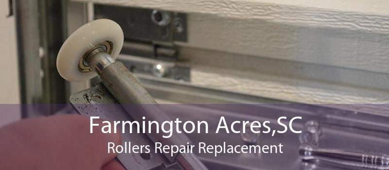 Farmington Acres,SC Rollers Repair Replacement