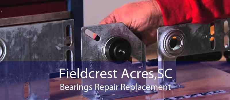 Fieldcrest Acres,SC Bearings Repair Replacement
