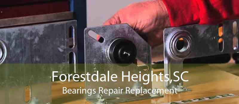 Forestdale Heights,SC Bearings Repair Replacement