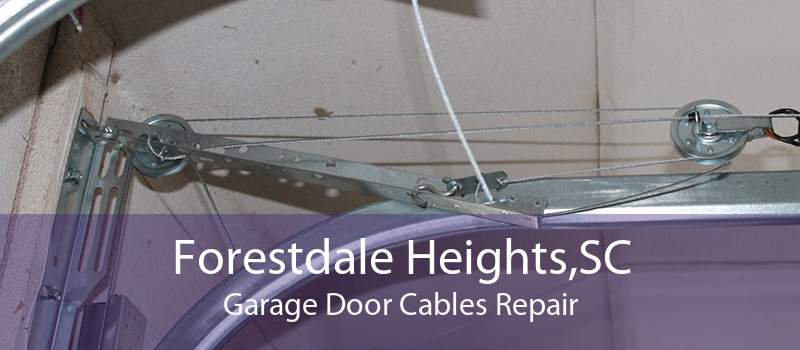 Forestdale Heights,SC Garage Door Cables Repair