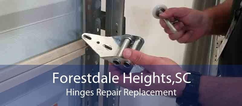 Forestdale Heights,SC Hinges Repair Replacement