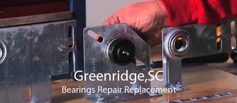 Greenridge,SC Bearings Repair Replacement