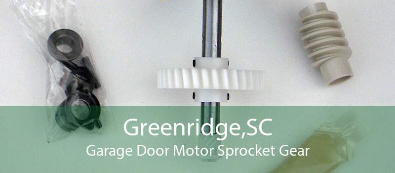 Greenridge,SC Garage Door Motor Sprocket Gear