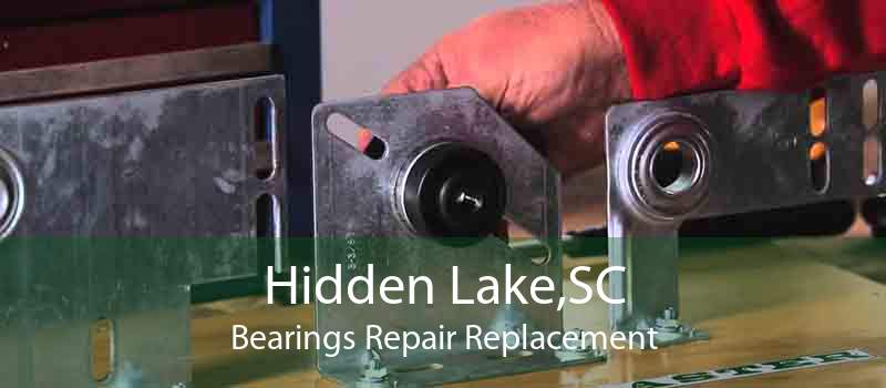 Hidden Lake,SC Bearings Repair Replacement