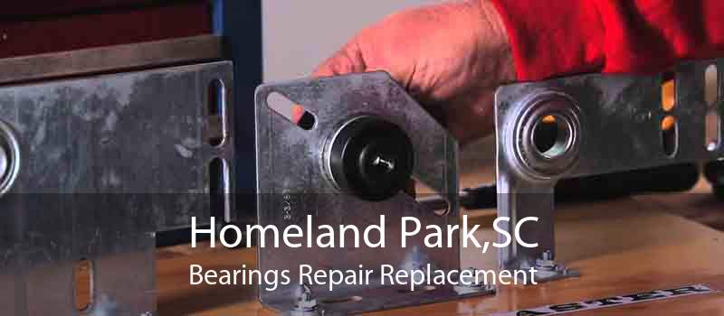Homeland Park,SC Bearings Repair Replacement