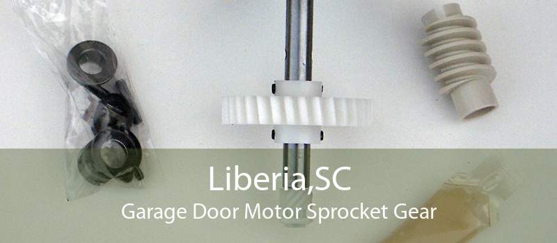 Liberia,SC Garage Door Motor Sprocket Gear
