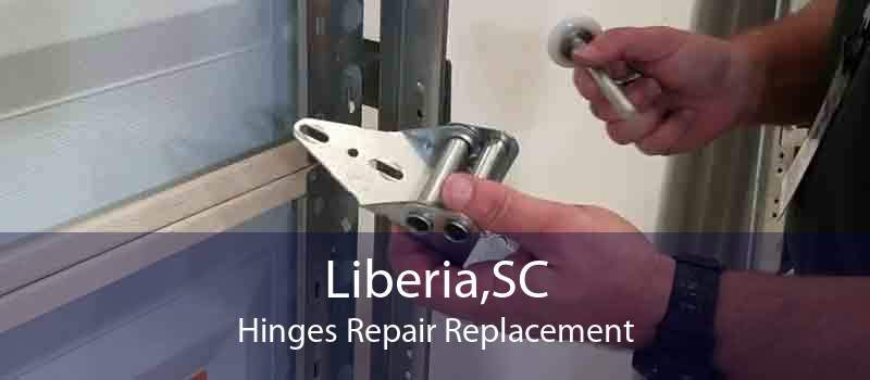 Liberia,SC Hinges Repair Replacement
