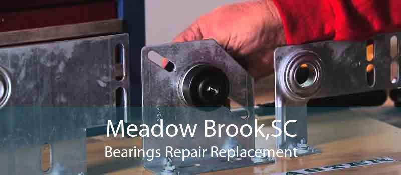 Meadow Brook,SC Bearings Repair Replacement