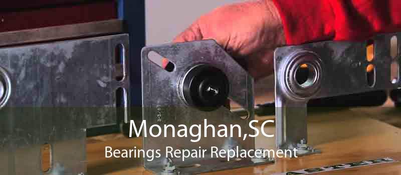 Monaghan,SC Bearings Repair Replacement