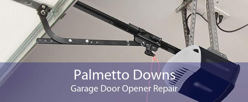 Palmetto Downs Garage Door Opener Repair