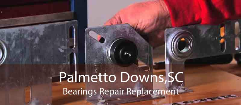 Palmetto Downs,SC Bearings Repair Replacement