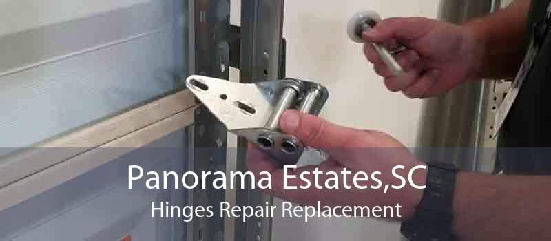Panorama Estates,SC Hinges Repair Replacement