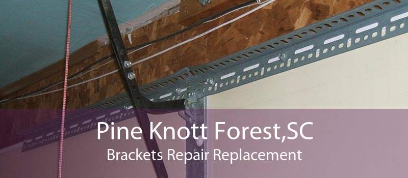 Pine Knott Forest,SC Brackets Repair Replacement