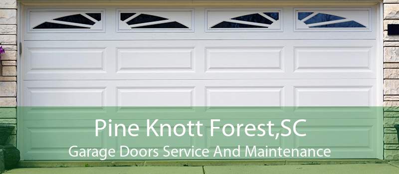 Pine Knott Forest,SC Garage Doors Service And Maintenance