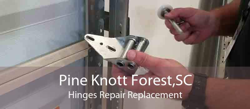 Pine Knott Forest,SC Hinges Repair Replacement
