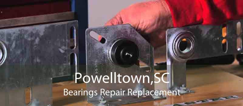 Powelltown,SC Bearings Repair Replacement
