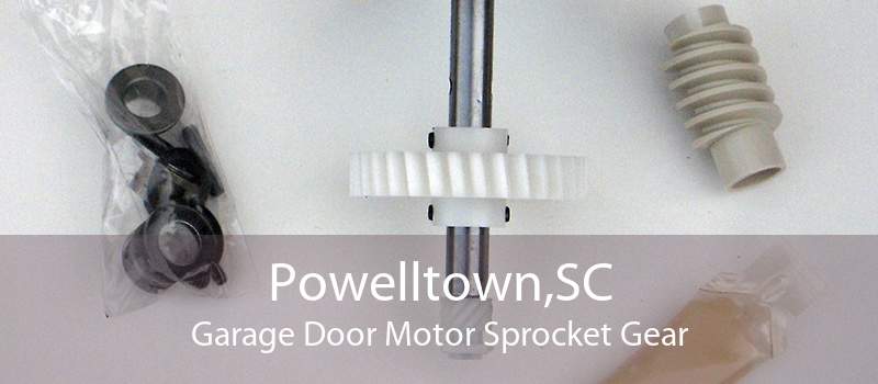 Powelltown,SC Garage Door Motor Sprocket Gear