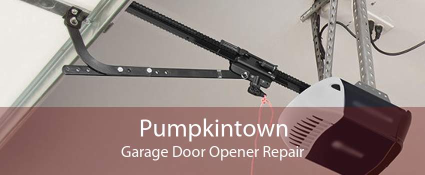 Pumpkintown Garage Door Opener Repair